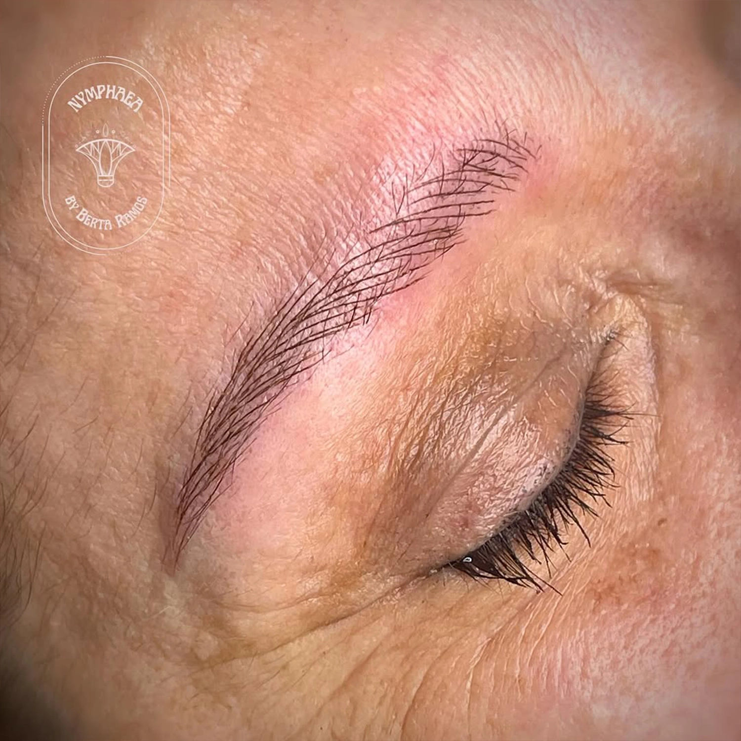 Micropigmentación en cejas diseño de ceja mistura tattoo Berta 2