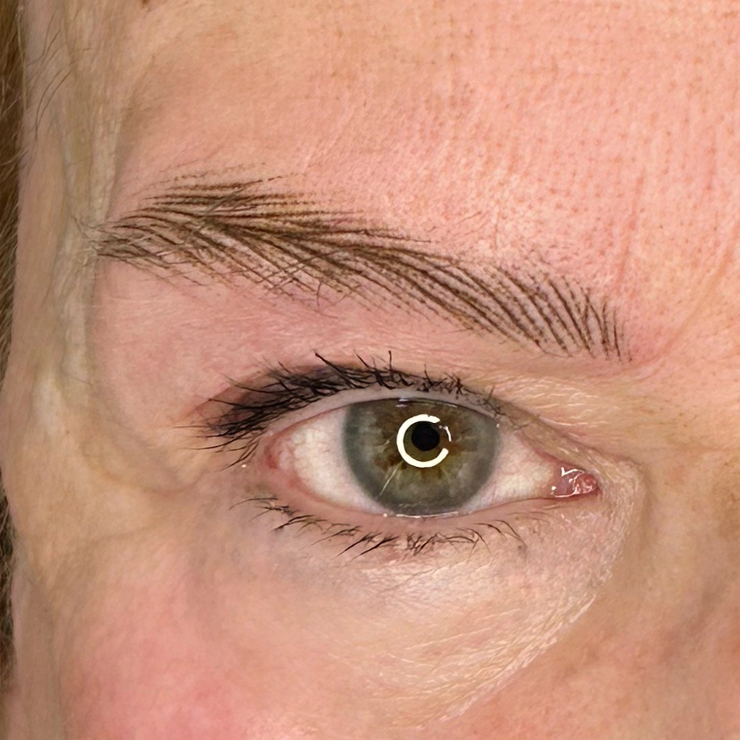 Micropigmentación en cejas diseño de ceja mistura tattoo